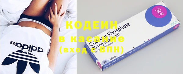 apvp Ельня