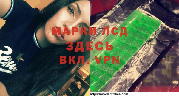 apvp Ельня