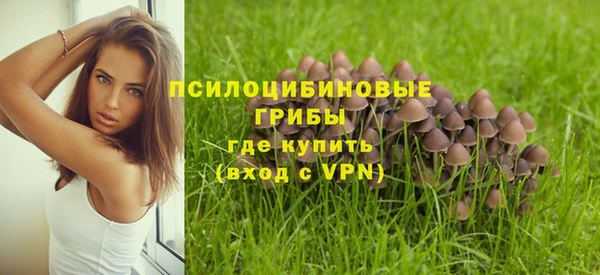 мдпв Елизово